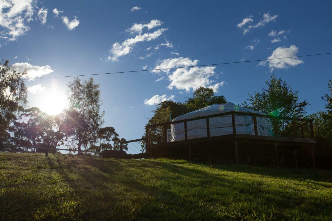 Awesome Glamping Gold Coast Hinterland Hotel Advancetown Kültér fotó