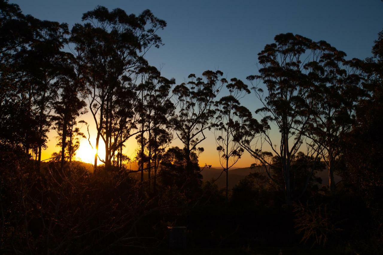 Awesome Glamping Gold Coast Hinterland Hotel Advancetown Kültér fotó